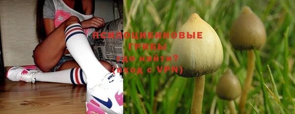 винт Майский